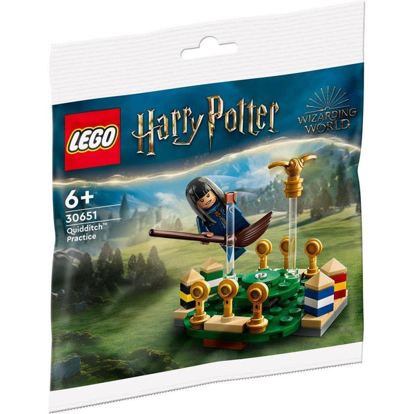 LEGO Harry Potter 30651 Quidditch Training