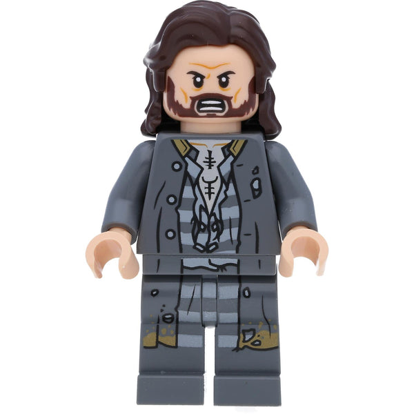 LEGO Harry Potter Minifigur Sirius Black (Tatze, Schnuffel) #174